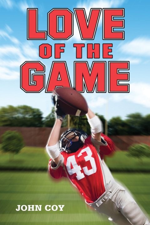 Cover image for book Love of the Game