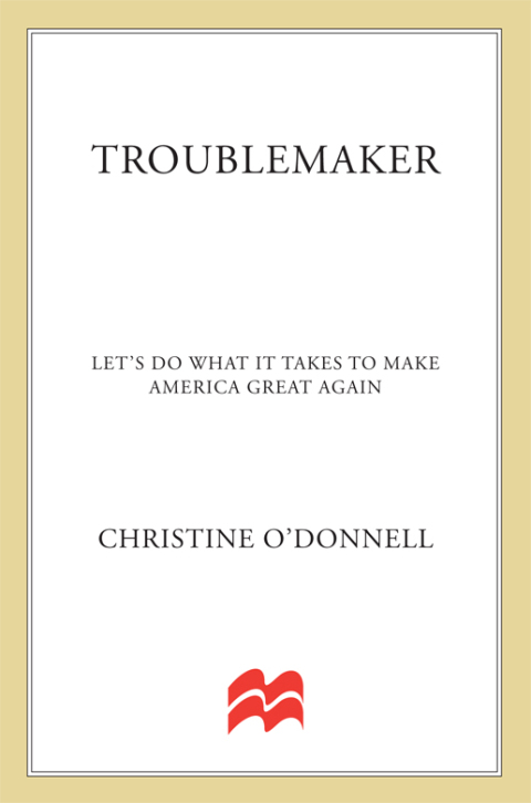 Cover image for book Troublemaker