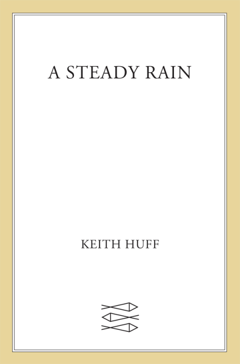 Cover image for book A Steady Rain