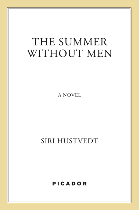 Cover image for book The Summer Without Men