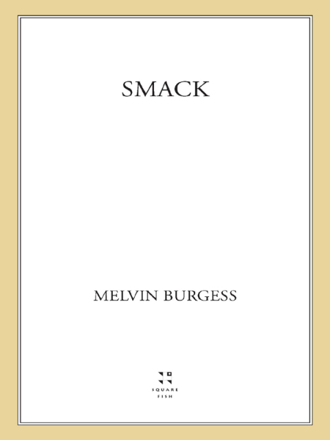 Cover image for book Smack