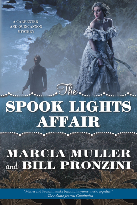 Cover image for book The Spook Lights Affair