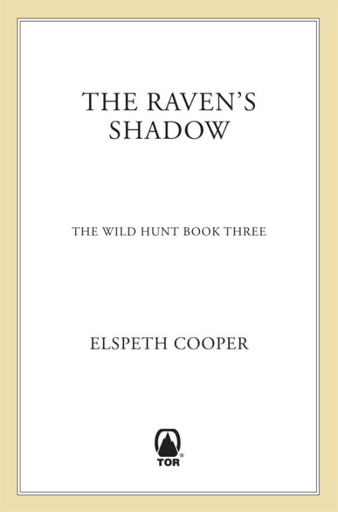 Cover image for book The Raven's Shadow