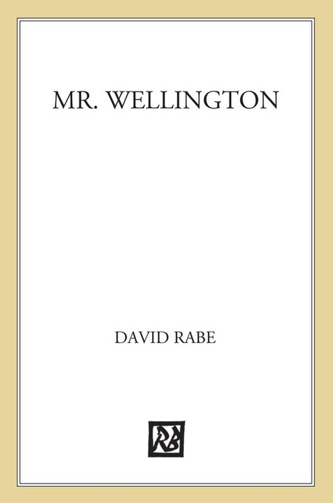Cover image for book Mr. Wellington