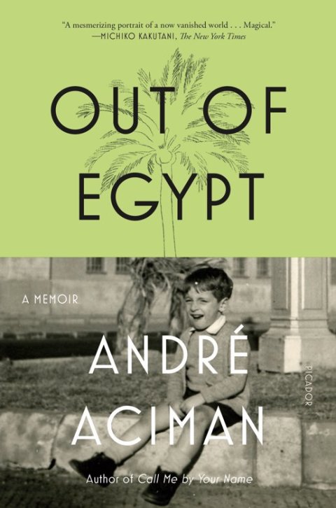 Cover image for book Out of Egypt