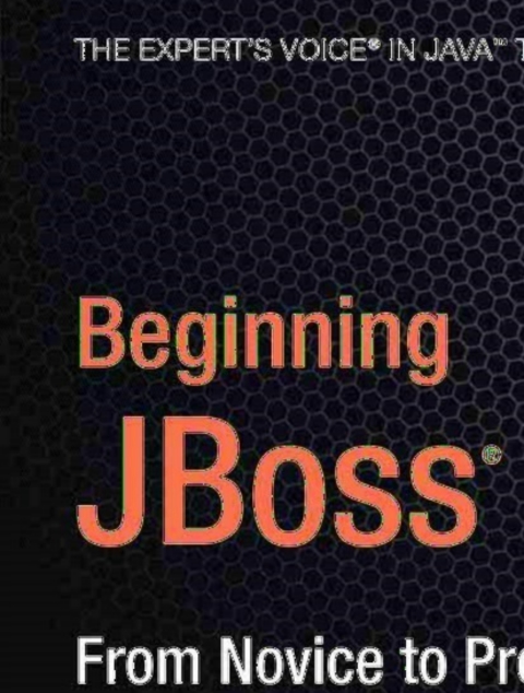 Beginning JBoss Seam 