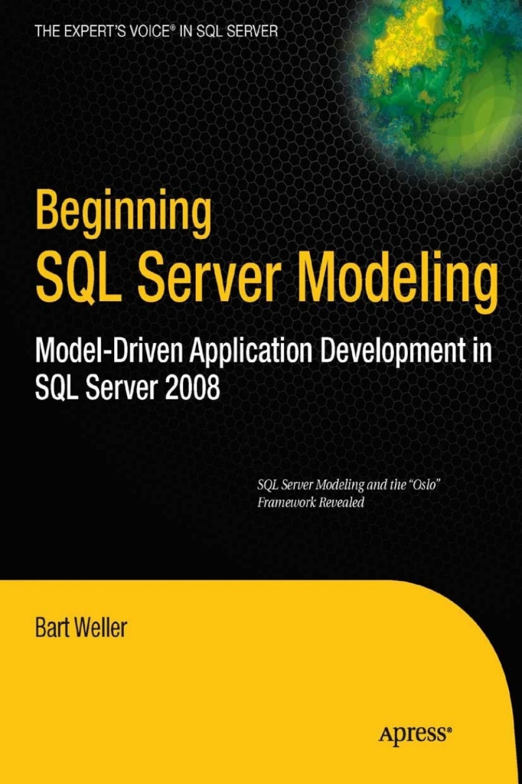 Beginning SQL Server Modeling (eBook)