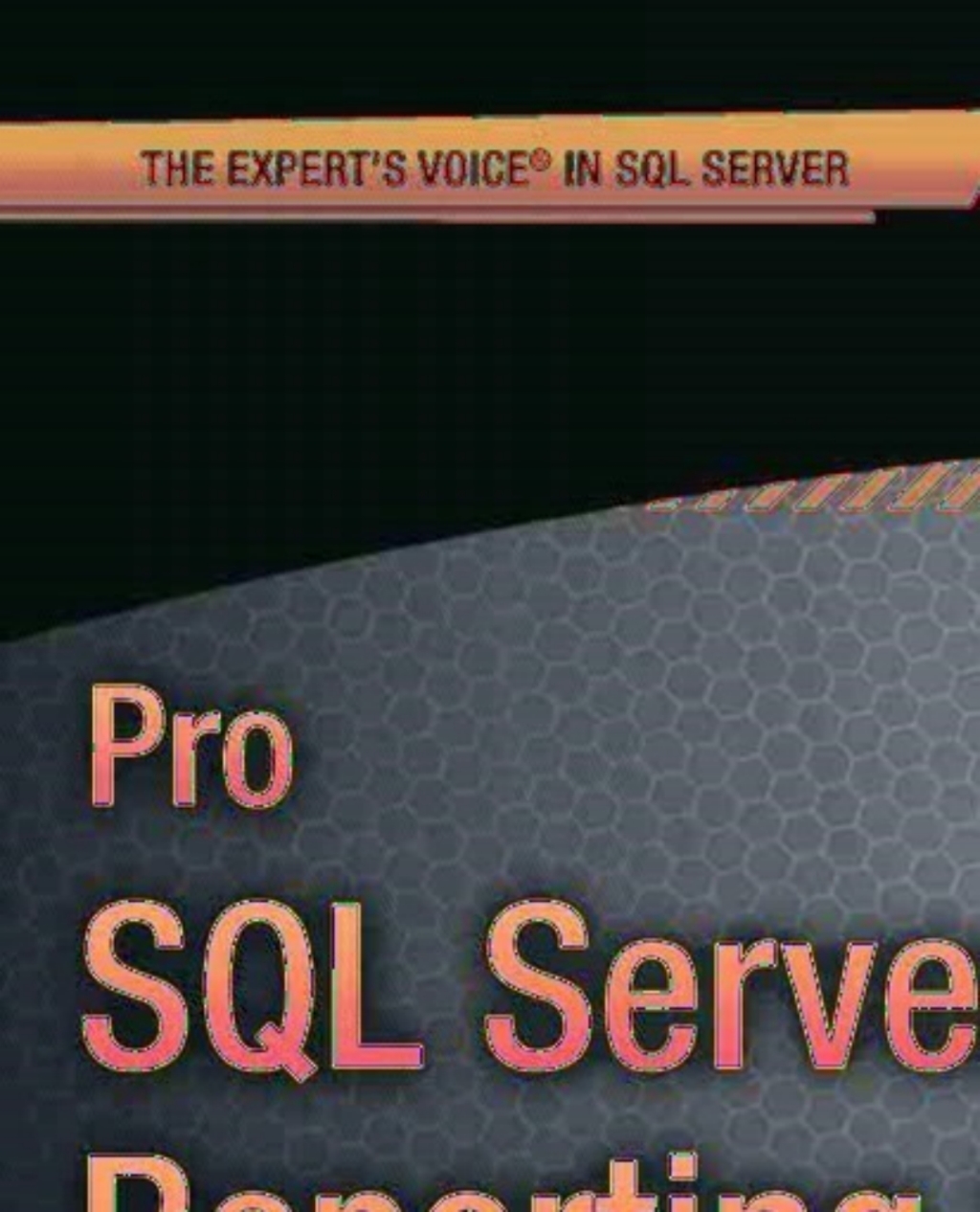 Pro SQL Server 2012 Reporting Services - 3rd Edition (eBook)