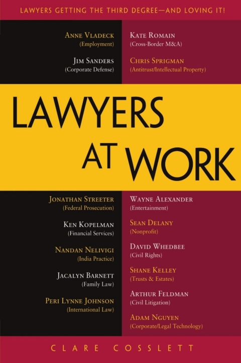 Cover image for book Lawyers at Work