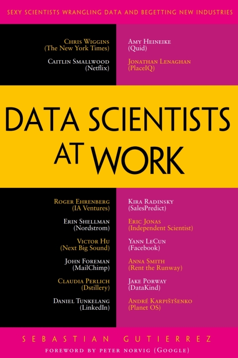 Cover image for book Data Scientists at Work