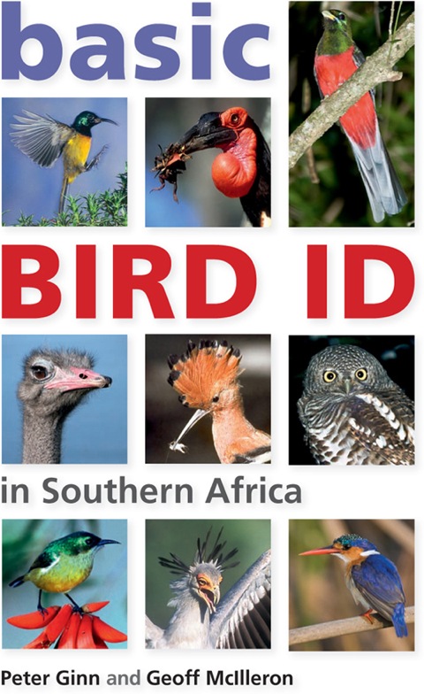 Cover image for book Basic Bird ID in Southern Africa
