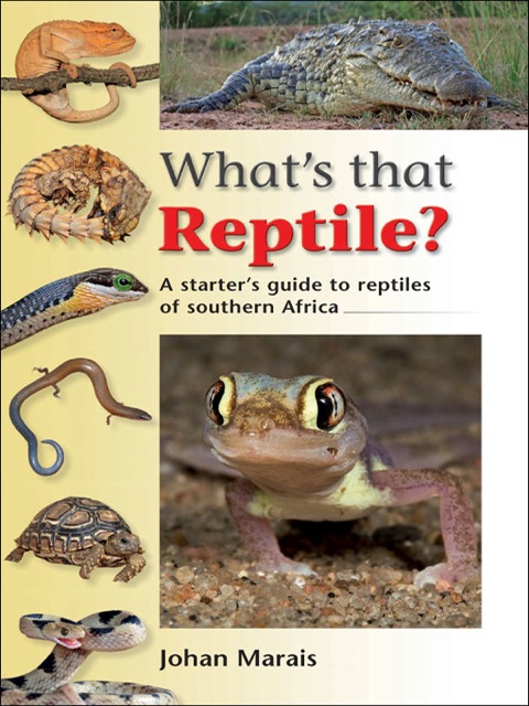 Cover image for book What’s that Reptile?