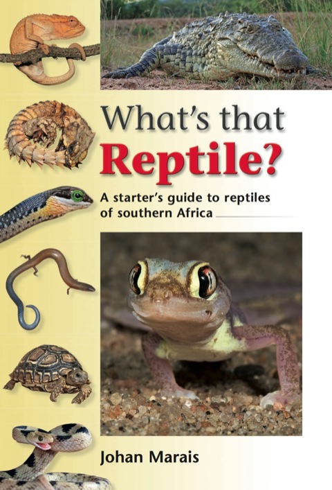 Cover image for book What’s that Reptile?