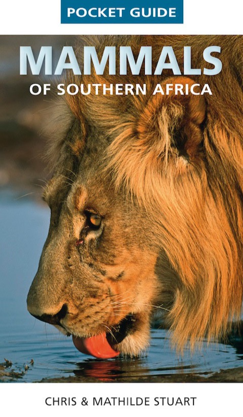 Cover image for book Pocket Guide Mammals of Southern Africa