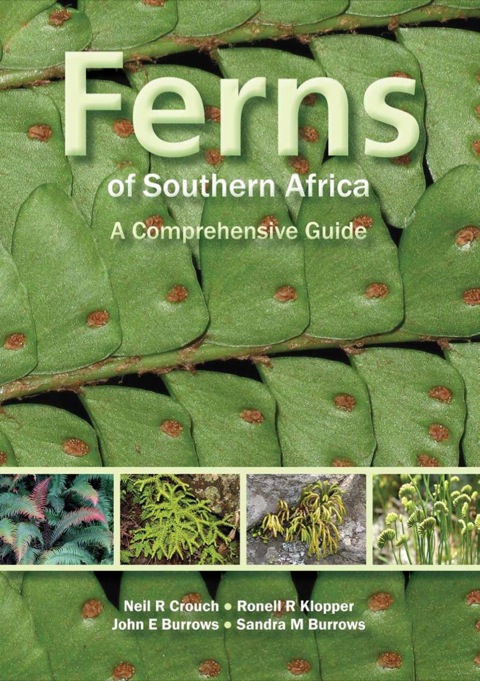 Cover image for book Ferns of Southern Africa: A Comprehensive Guide (PVC)