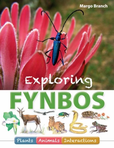 Cover image for book Exploring Fynbos: Plants, Animals, Interactions.