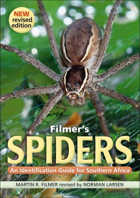 Cover image for book Filmer’s Spiders