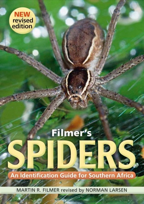 Cover image for book Filmer’s Spiders