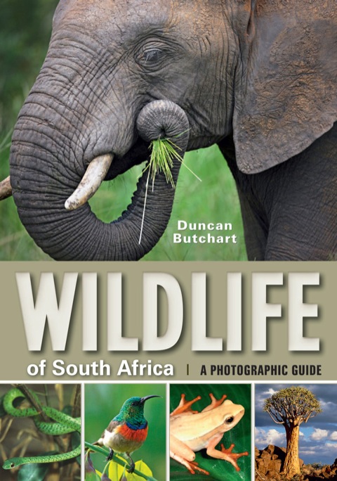 Cover image for book Wildlife of South Africa
