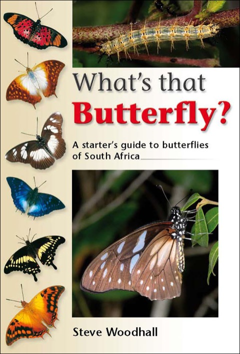 Cover image for book What’s that Butterfly?