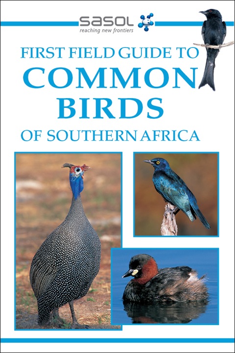 Cover image for book Sasol First Field Guide to Common Birds of Southern Africa