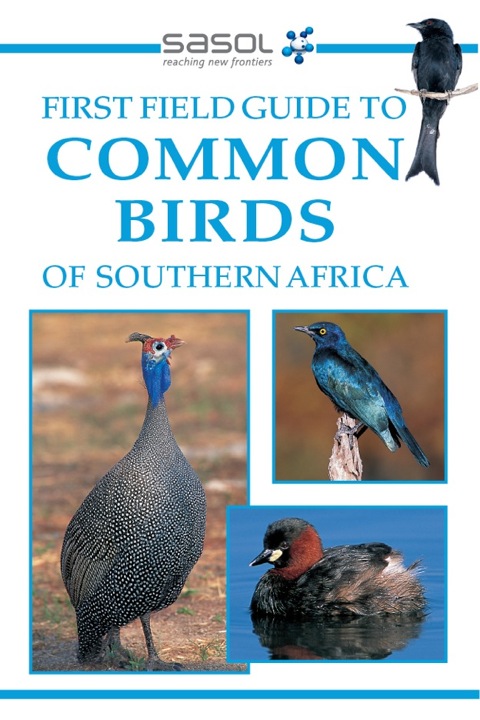 Cover image for book Sasol First Field Guide to Common Birds of Southern Africa