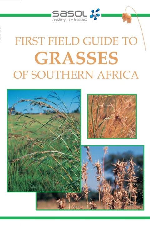 Cover image for book First Field Guide to Grasses of Southern Africa