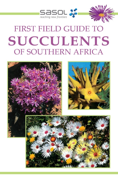 Cover image for book Sasol First Field Guide to Succulents of Southern Africa