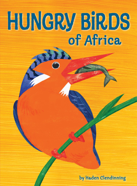 Cover image for book Hungry Birds of Africa