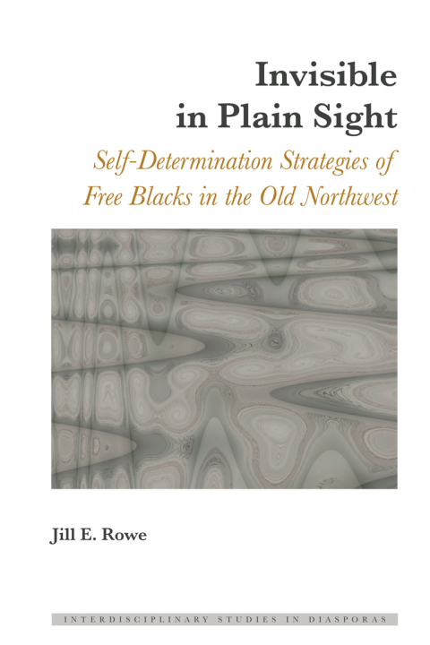 Cover image for book Invisible in Plain Sight