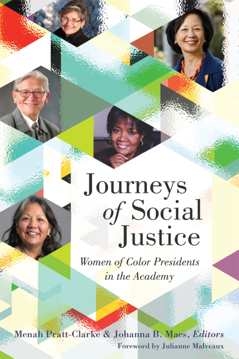 Cover image for book Journeys of Social Justice