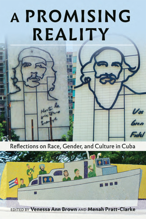 Cover image for book A Promising Reality