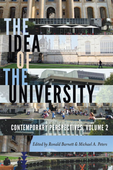 Cover image for book The Idea of the University