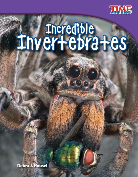 Cover image for book Incredible Invertebrates