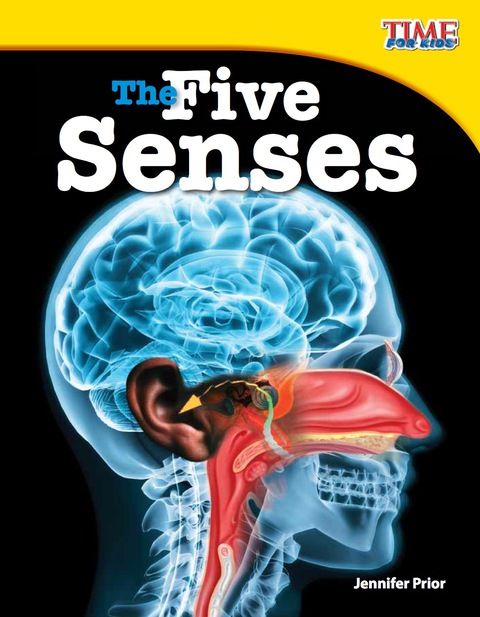 Cover image for book The Five Senses