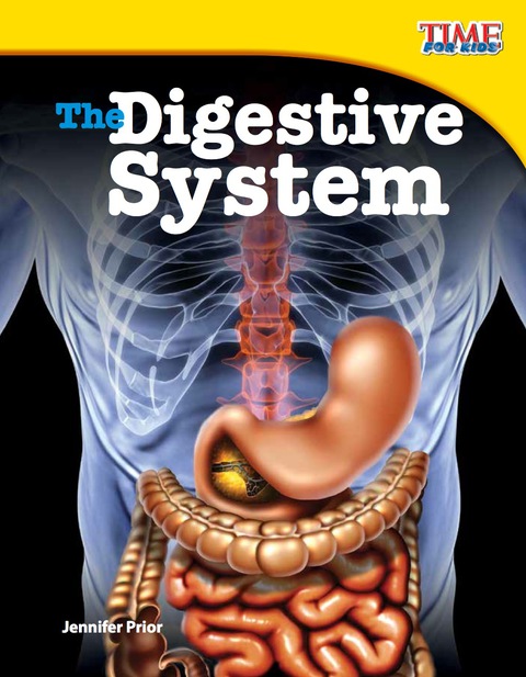 Cover image for book The Digestive System