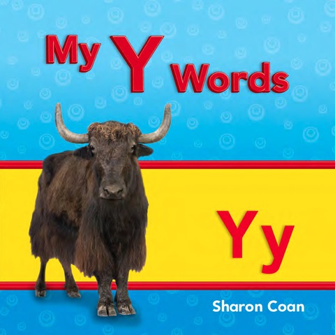 Cover image for book My Y Words