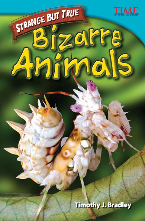 Cover image for book Strange but True: Bizarre Animals