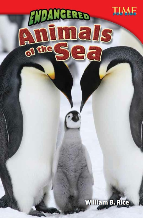 Cover image for book Endangered Animals of the Sea