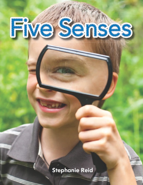 Cover image for book Five Senses