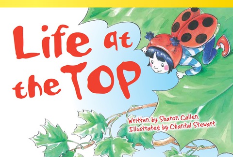 Cover image for book Life at the Top