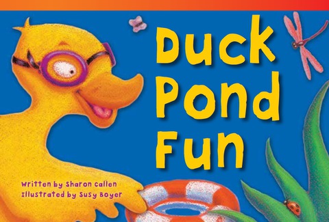 Cover image for book Duck Pond Fun