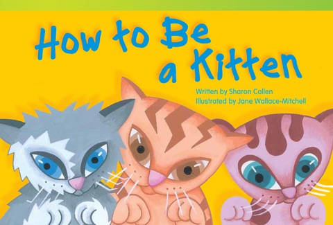 Cover image for book How to Be a Kitten