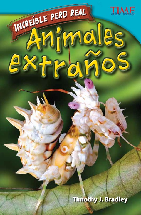Cover image for book Increíble pero real: Animales extraños (Strange but True: Bizarre Animals)