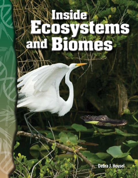 Cover image for book Inside Ecosystems and Biomes