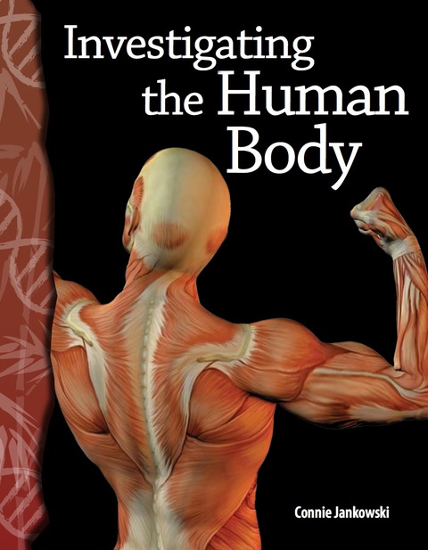 Cover image for book Investigating the Human Body