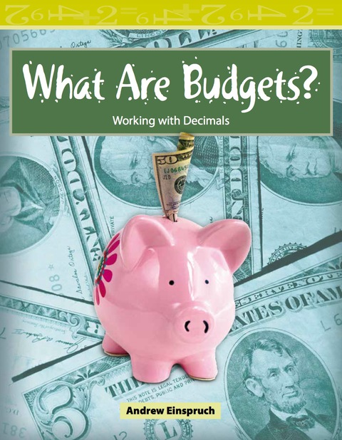 Cover image for book What Are Budgets?