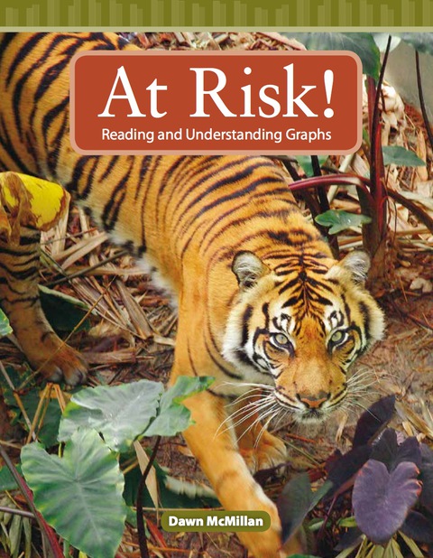 Cover image for book At Risk!