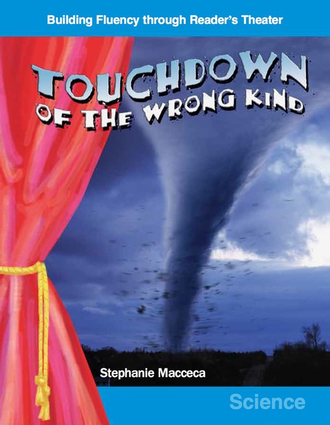 Cover image for book Touchdown of the Wrong Kind
