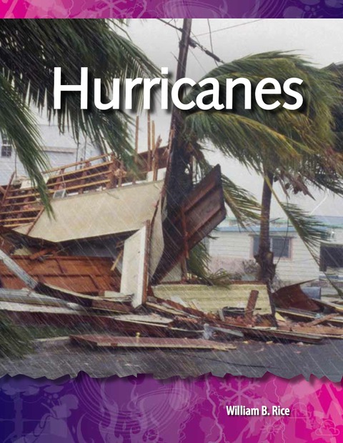 Cover image for book Hurricanes